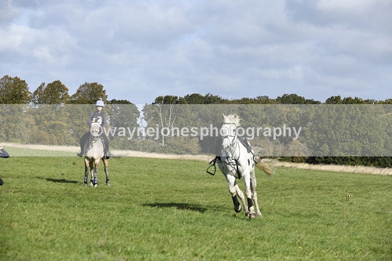 _DSC5463 - Time 10:49 to 11:23