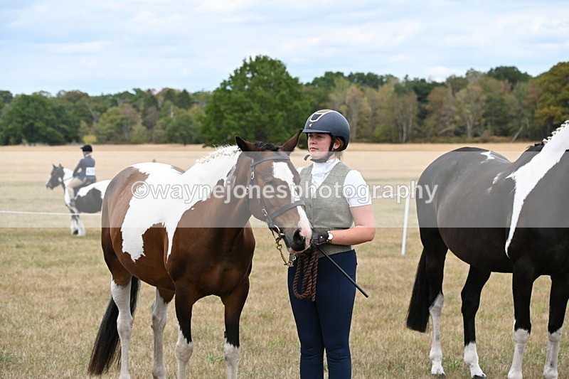 WJ6_5444 - Class 18 In-hand Coloured