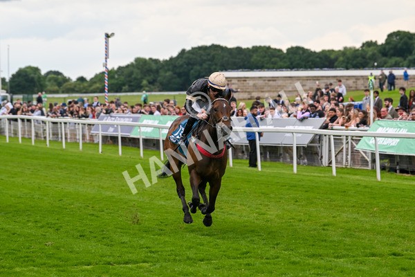 140624-Race 3-Alfa Kellenic-4318 - Race 3 3.00pm British EBF Supporting Racing With Pride Fillies' Handicap