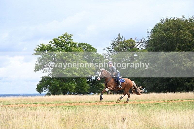 DSC_4547 - Time at Statue 09:50 to 11:09