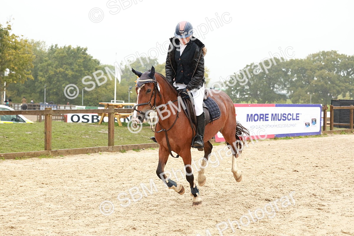 SBM_72382 - J14 - Junior Pony 65cm Championship