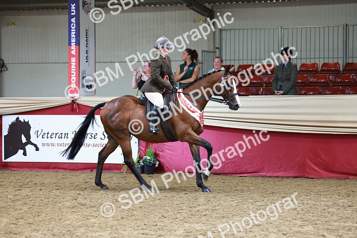 SBM_14995 - Class 108 - Ridden Retired Racehorse