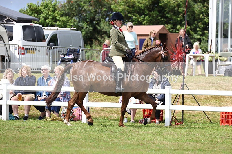 3E7A0840 - Class 8: Open Riding Horse/Hack