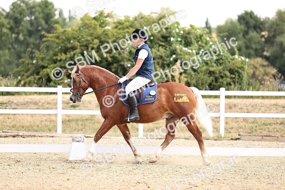 SBM_006574 - Intro 3 - 9.46-10.46