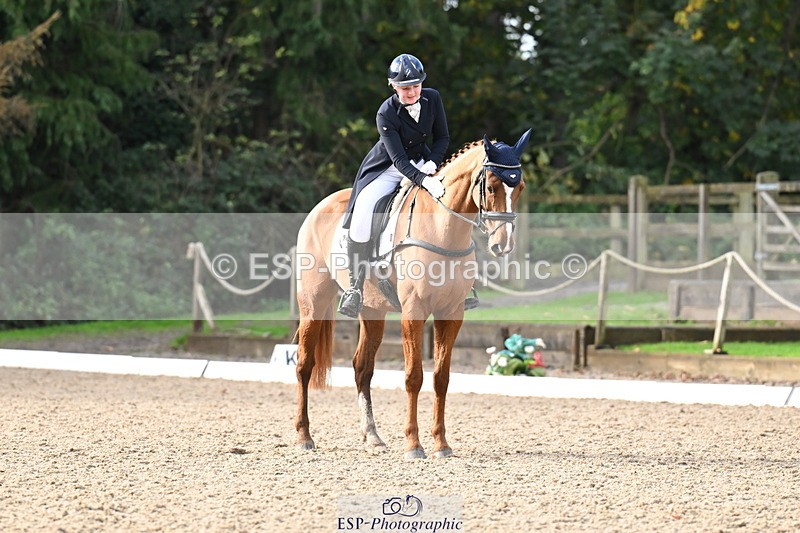 251023A-101924-01495 - B-128-Holly.Law