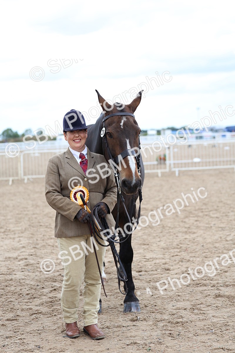 SBM_05795 - Class 28 - IH Veteran Horse