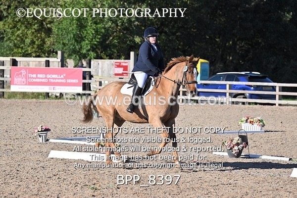 BPP_8397 - LONG ARENA