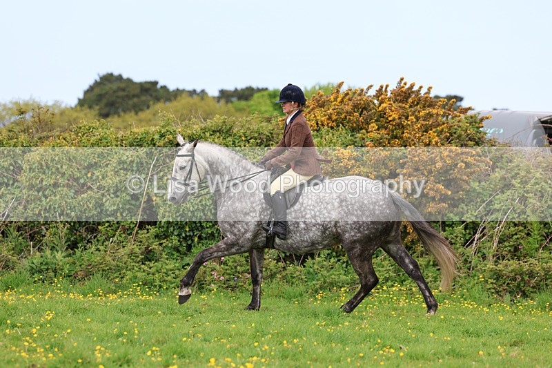 3E7A1281 - Class 7: Ridden Hunter Type