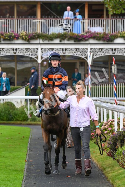 080924-Pony Race-8589 - Pony Race 1.00pm The Dragon (TV and Film) Studios Pony Race 148cm & Under