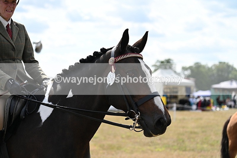 WJ7_6169 - Class 13 Ridden Veterans
