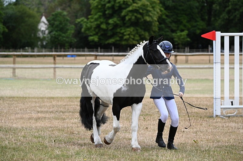 WJ6_4395 - Class 10 Coloured In-hand
