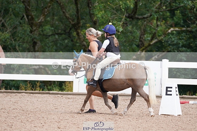 240809A-103206-00583 - Dressage Competition