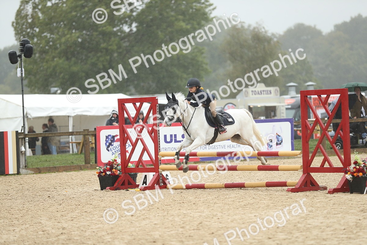 SBM_73993 - J16 - Junior Pony 75cm Championship