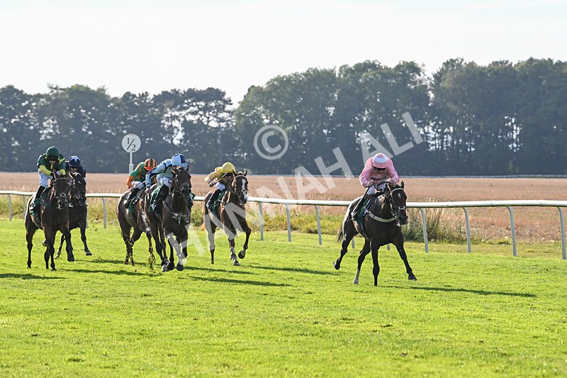 160924-Race 7-Style Of Life-3250 - Race 7