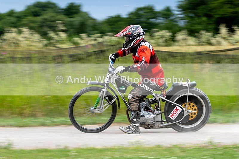20260704-7D-8E0A3464 - Latest Photographs