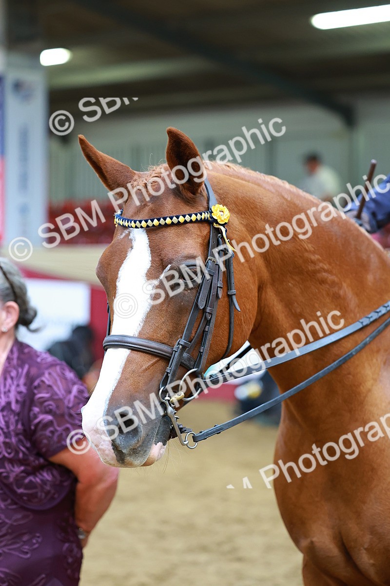 SBM_20154 - Class 906 - Sup Final Ridden Champ