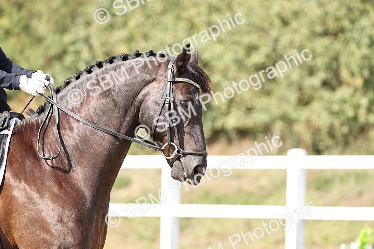 SBM_014859 - Class 7 - Medium 3