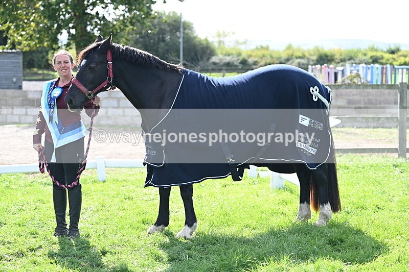 WJ7_1740 - 80cm Champs