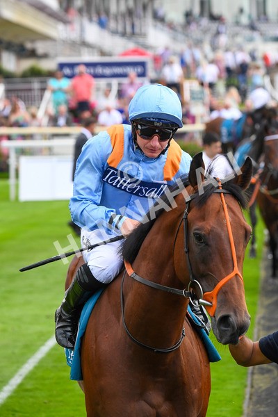 100923-Race 1-The Coffee Pod-0348 - Race 1 1.40pm Ire Incentive, It Pays To Buy Irish EBF Novice Stakes