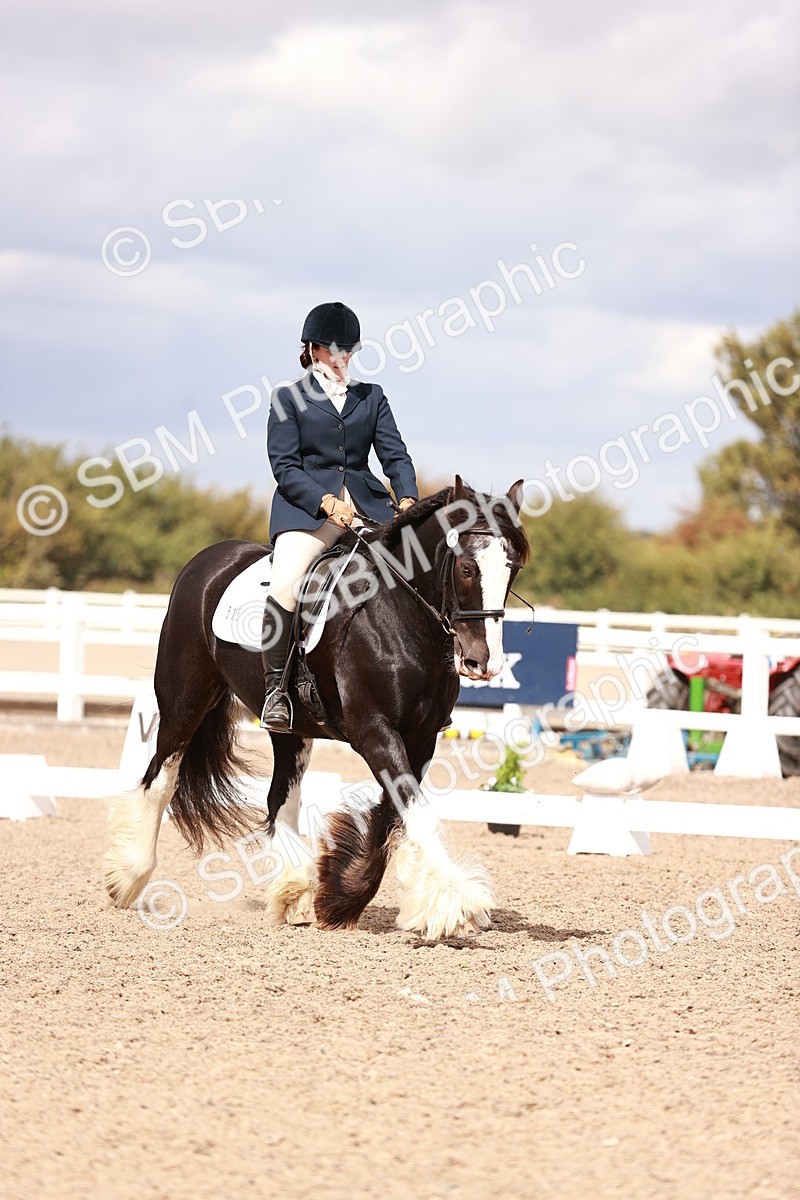 SBM_06213 - Class 37 - Novice 5