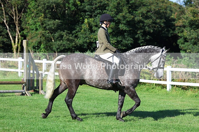 3E7A7547 - Class 1: Novice Working Hunter Pony