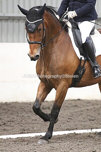 SIAL5316 - CAbin Dressage 5th july 2025
