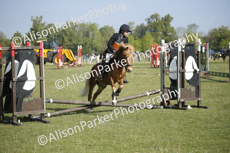 20250427-0243 - Class 12 - Rookie Jumping 40cm