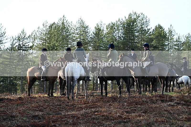 WJ7_7462 - Line 3 (no line 4 or 5)