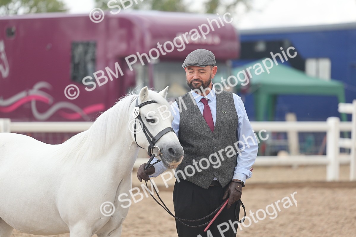 SBM_03275 - Class 16 - IH M&M Wildcard