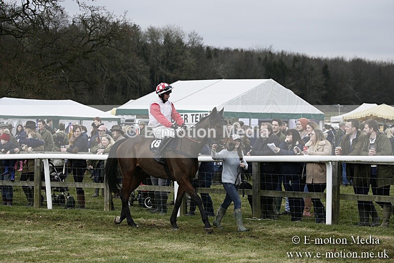 PtP 110318 106 - Hampshire Hunt Point-to-Point Hackwood Park 11/03/18