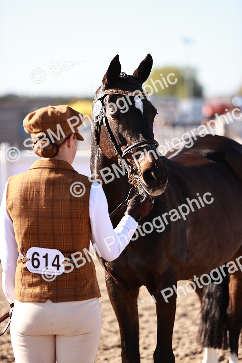 SBM_11434 - Class 402 - IH  Veteran pony