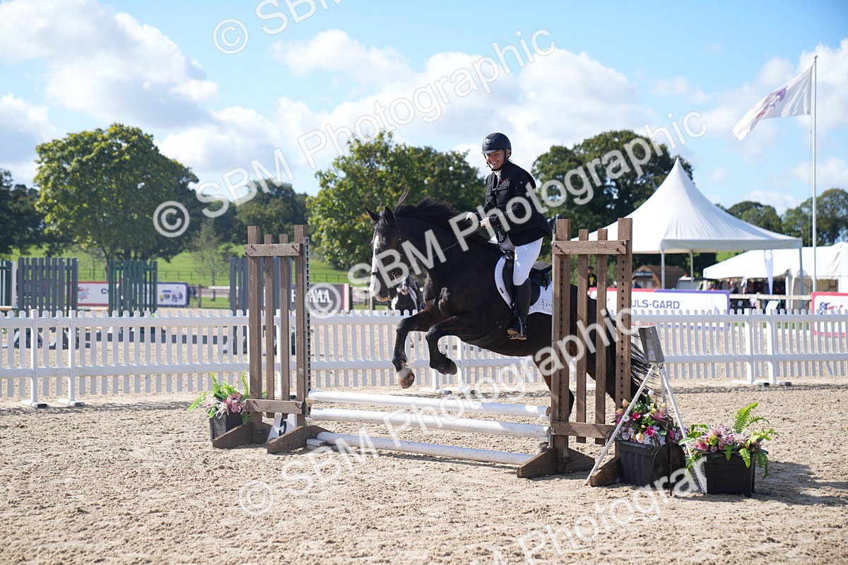 SBM_02483 - J54 Clear Round 45cm