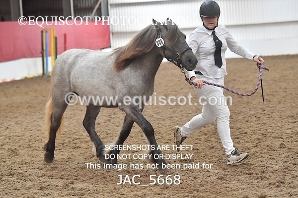 JAC_5668 - 6 Glenmuir Niamh