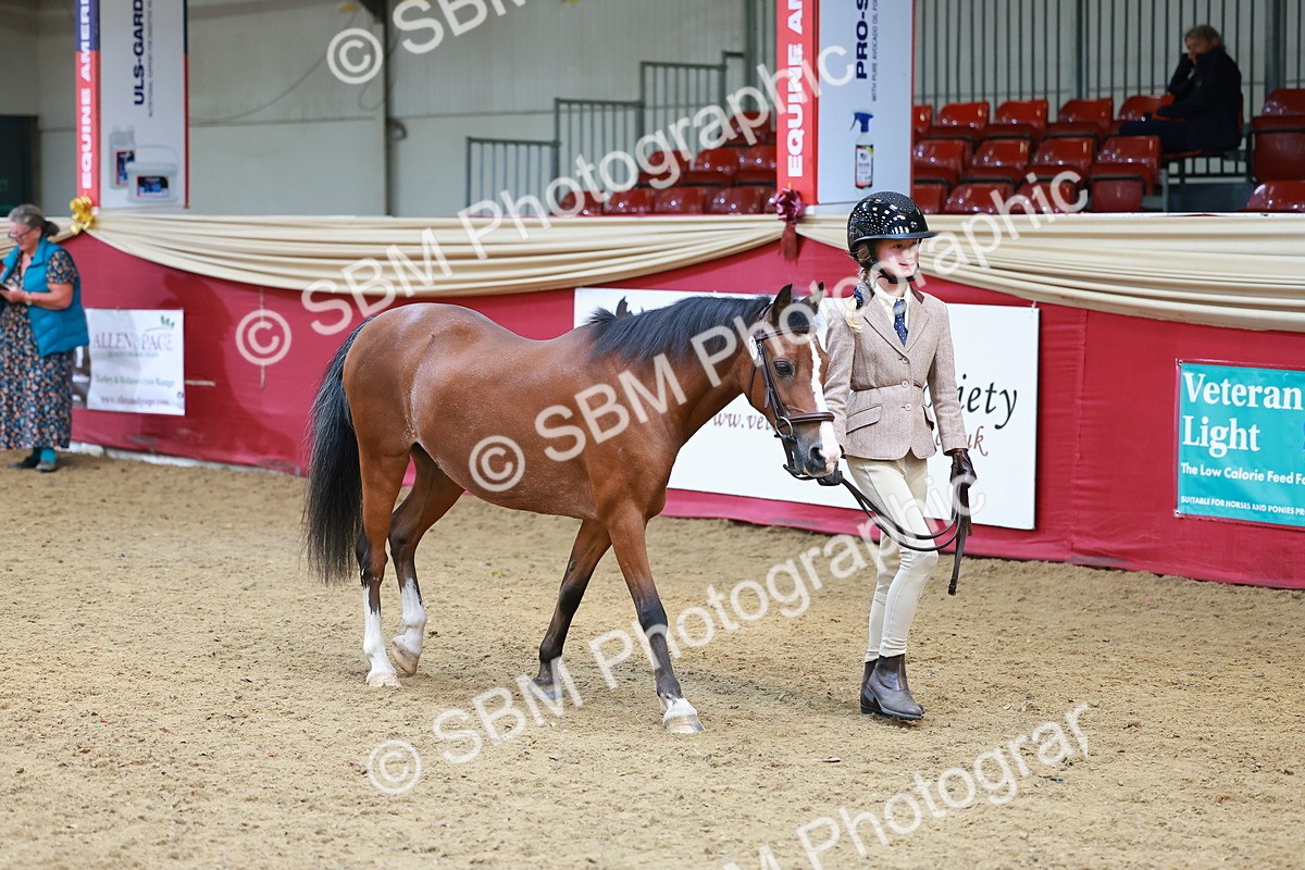 SBM_04251 - Class 9R - IH Pre-Vet