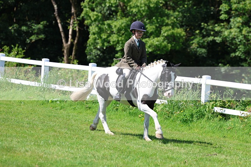 3E7A6748 - Working Hunter Pony Championship