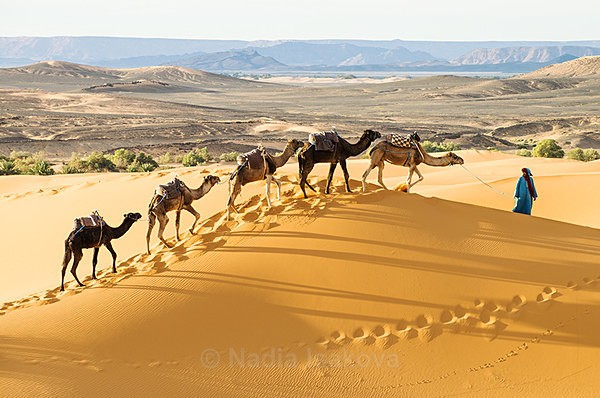 - Morocco