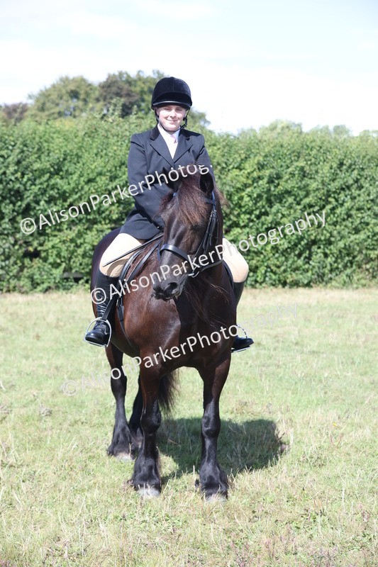 20250831-2558 - Class 16 - Family Pony