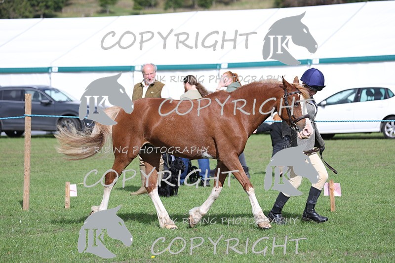 APP_2596 - Class 9 Veterans in hand