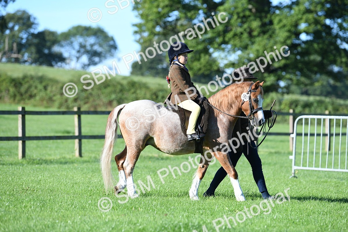 SBM_35283 - S17 - Condition & Turnout - Lead Rein