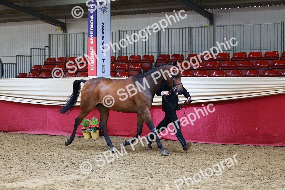SBM_23170 - Class 903 - Supreme Final - IH Pre Vet