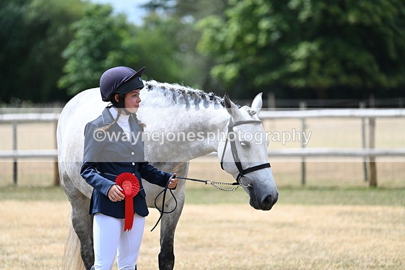 WJ7_2108 - Prettiest Mare Champs
