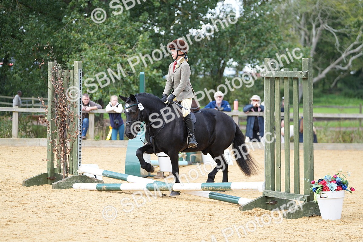 SBM_64583 - J2 - Mini Tour Junior Pony 30cm Championship