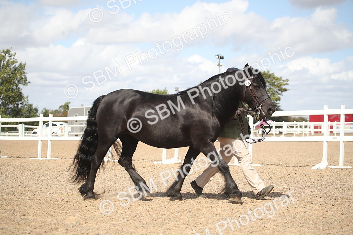 SBM_23188