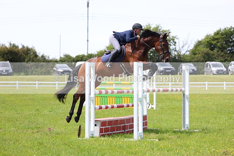 3E7A1371 - Class 12: Senior Foxhunter/1.20 open