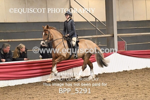 BPP_5291 - CLASS 6 60CM