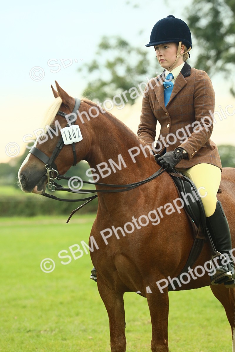 SBM_72251 - S60 - Mountain & Moorland Ridden Large Breeds