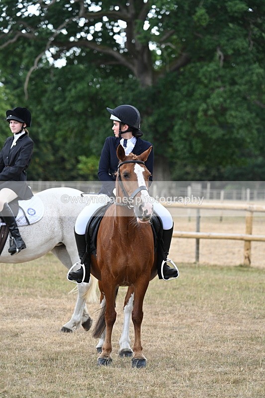 WJ7_1461 - Class 8 Ridden Veterans