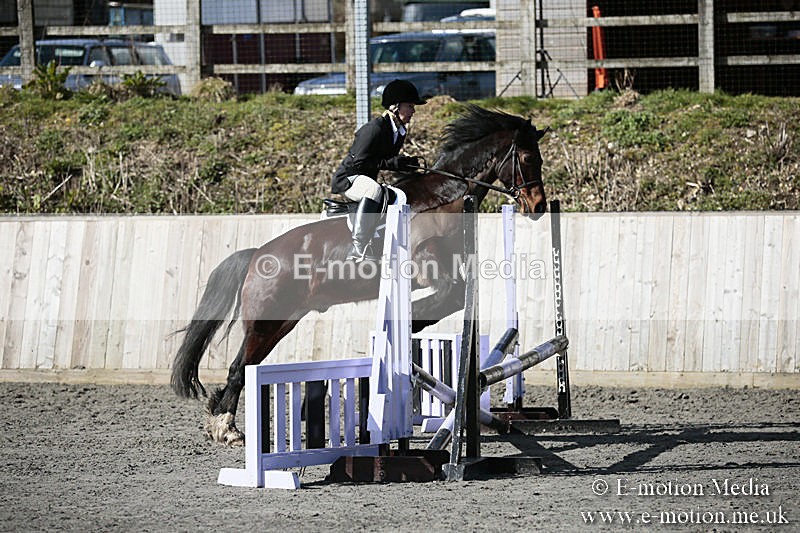 BVRC SJ 170319 150 - Bourne Valley Riding Club Showjumping 17/03/19