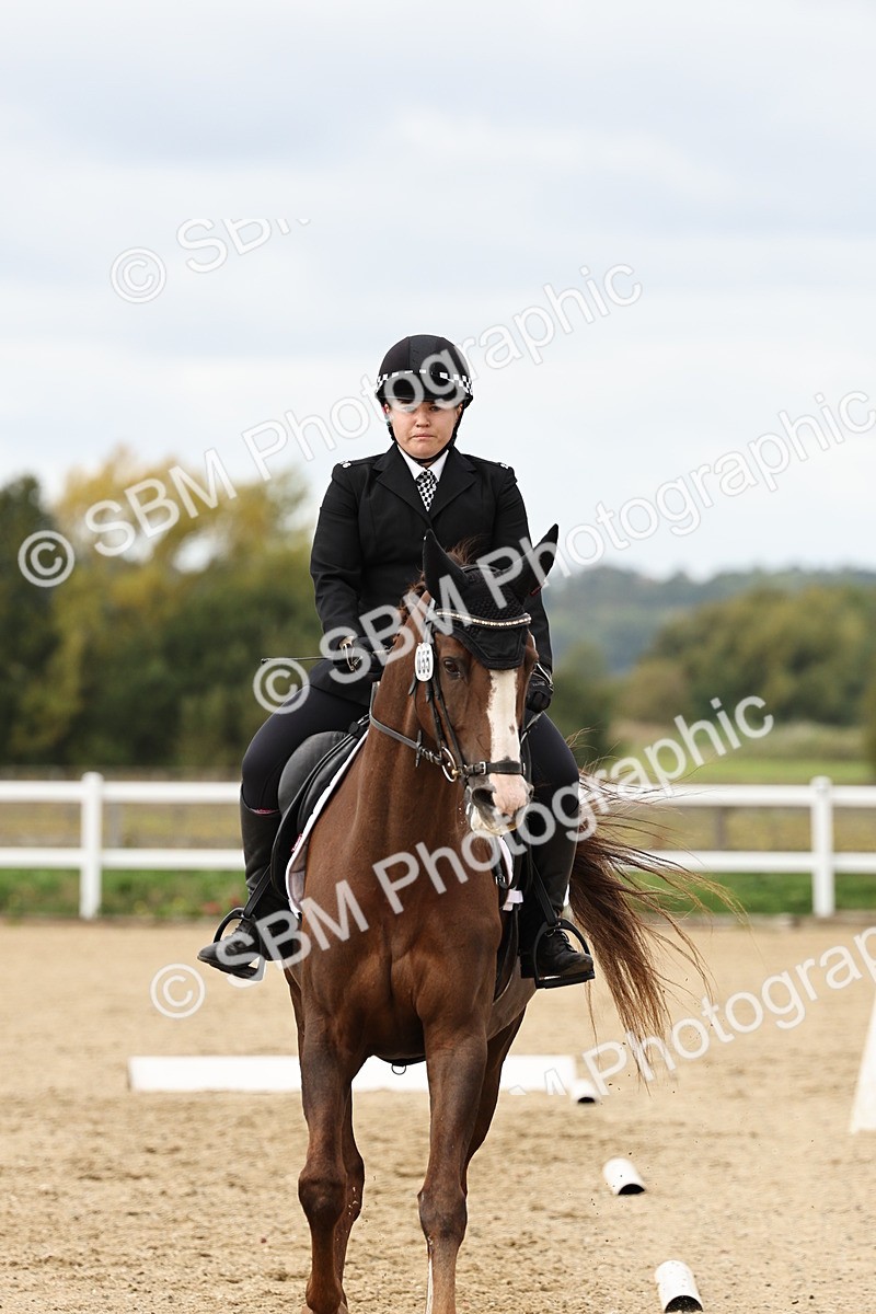 SBM_004532 - Class 69 - Novice 2