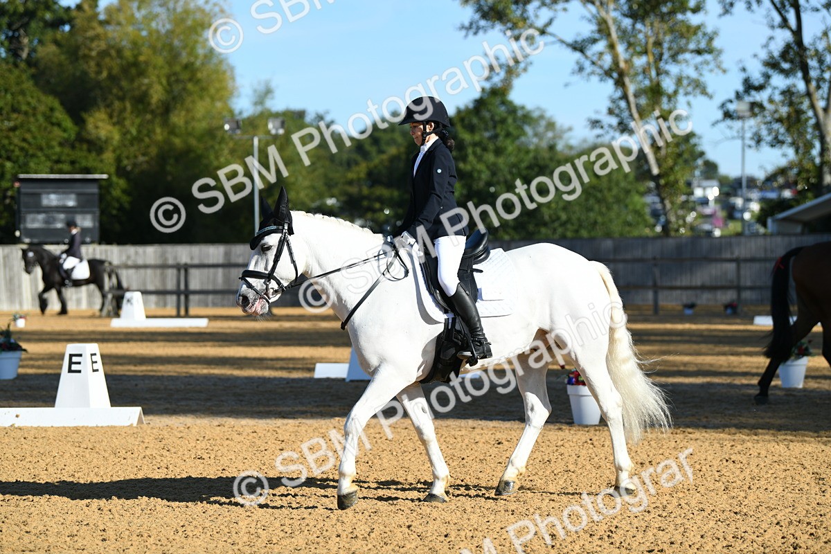 SBM_16123 - D4 - Small Tour Championship - Intro B